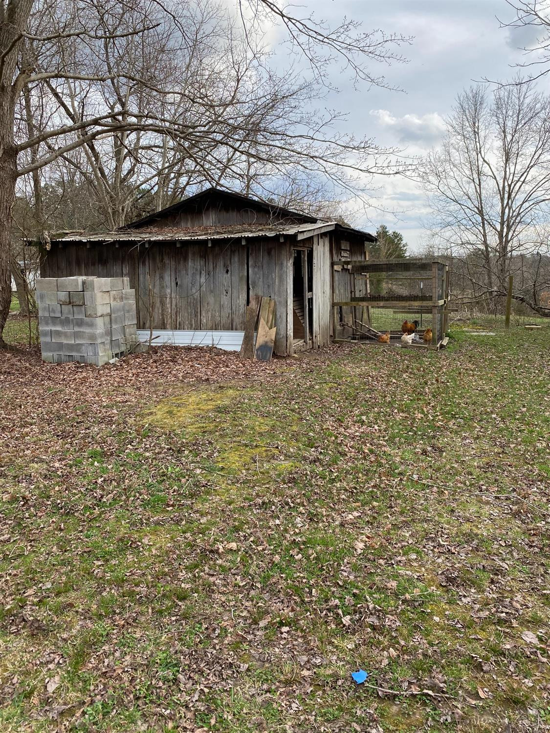 1175 Cassidy Road London, KY 40744 - Photo 85 of 94 Photo 85