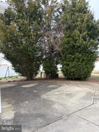 a view of a yard with a tree