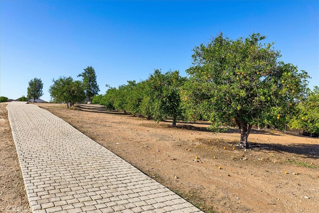 34197 Olive Grove Road Wildomar, CA 92595 - Photo 45 of 59