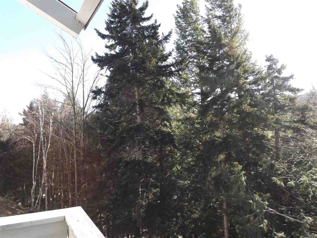 102 Upper Phase Road, Unit 88 Warren, VT 05674 - Photo 10 of 27