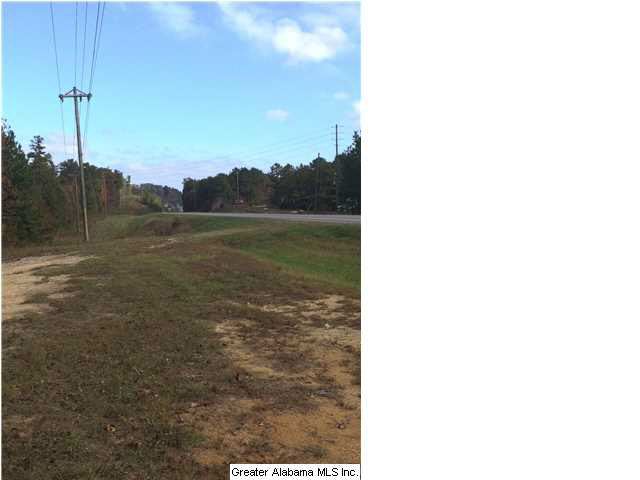 0 Highway 77, Unit 24 AC Ohatchee, AL 36271 - Photo 2 of 13