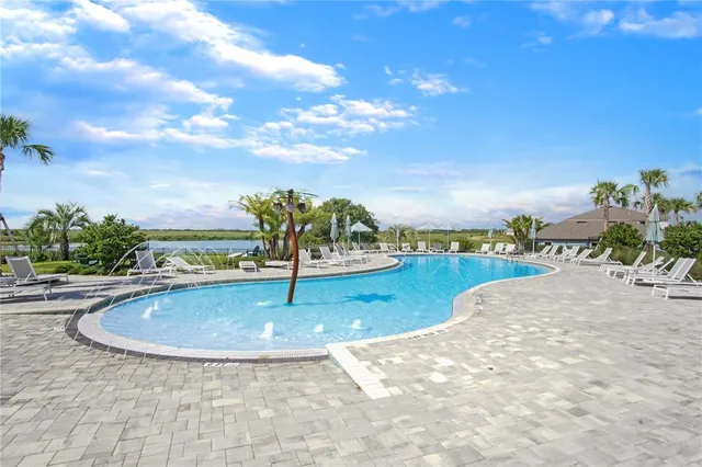a view of a park with large trees