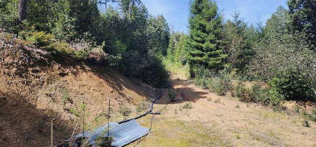 0 French Road Miranda, CA 95553 - Photo 8 of 19