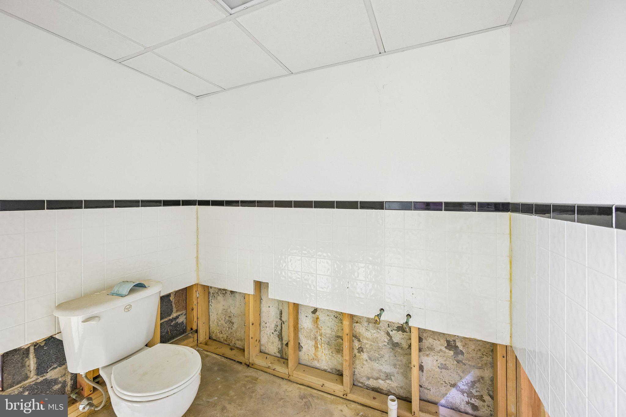 12209 Thornton Road Philadelphia, PA 19154 - Photo 15 of 22 Toilet in basement