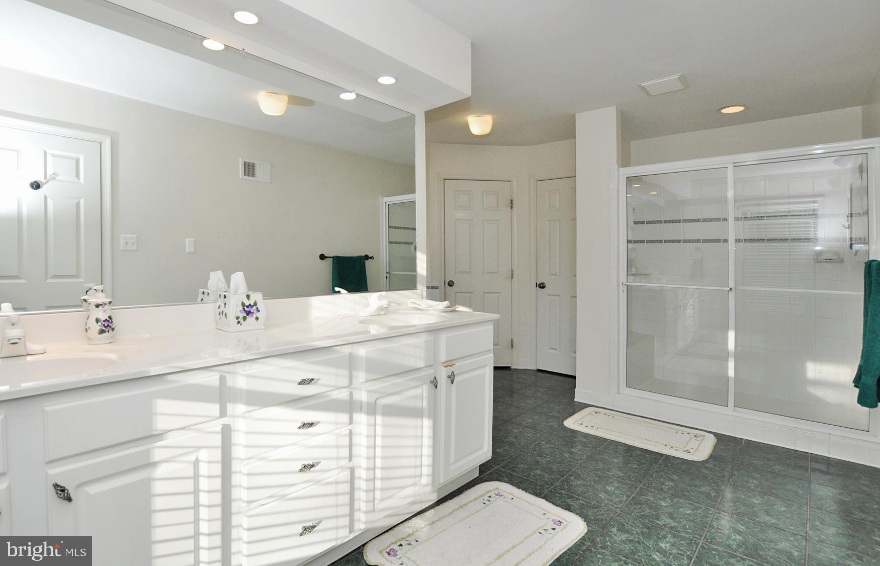 1342 Excaliber Lane Silver Spring, MD 20906 - Photo 20 of 33 Double sink vanity & custom tile work.