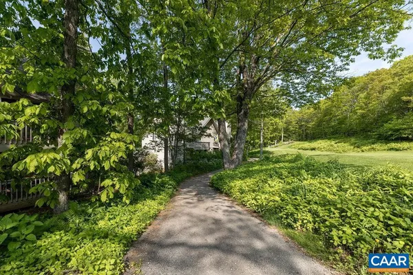 a view of a garden with plants