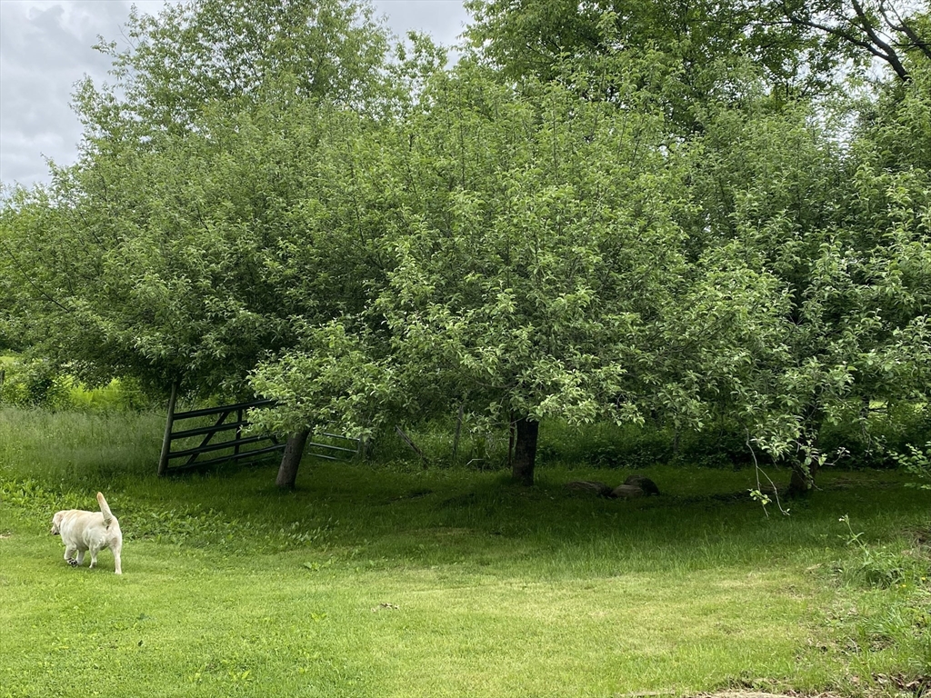 845 Town Farm Road Warren, MA 01083 - Photo 22 of 30