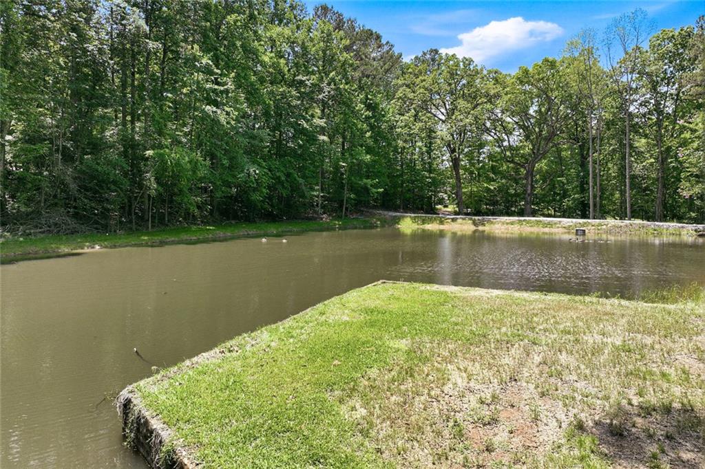 3735 Smithtown Road Suwanee, GA 30024 - Photo 4 of 29