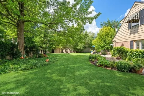 a view of garden with trees