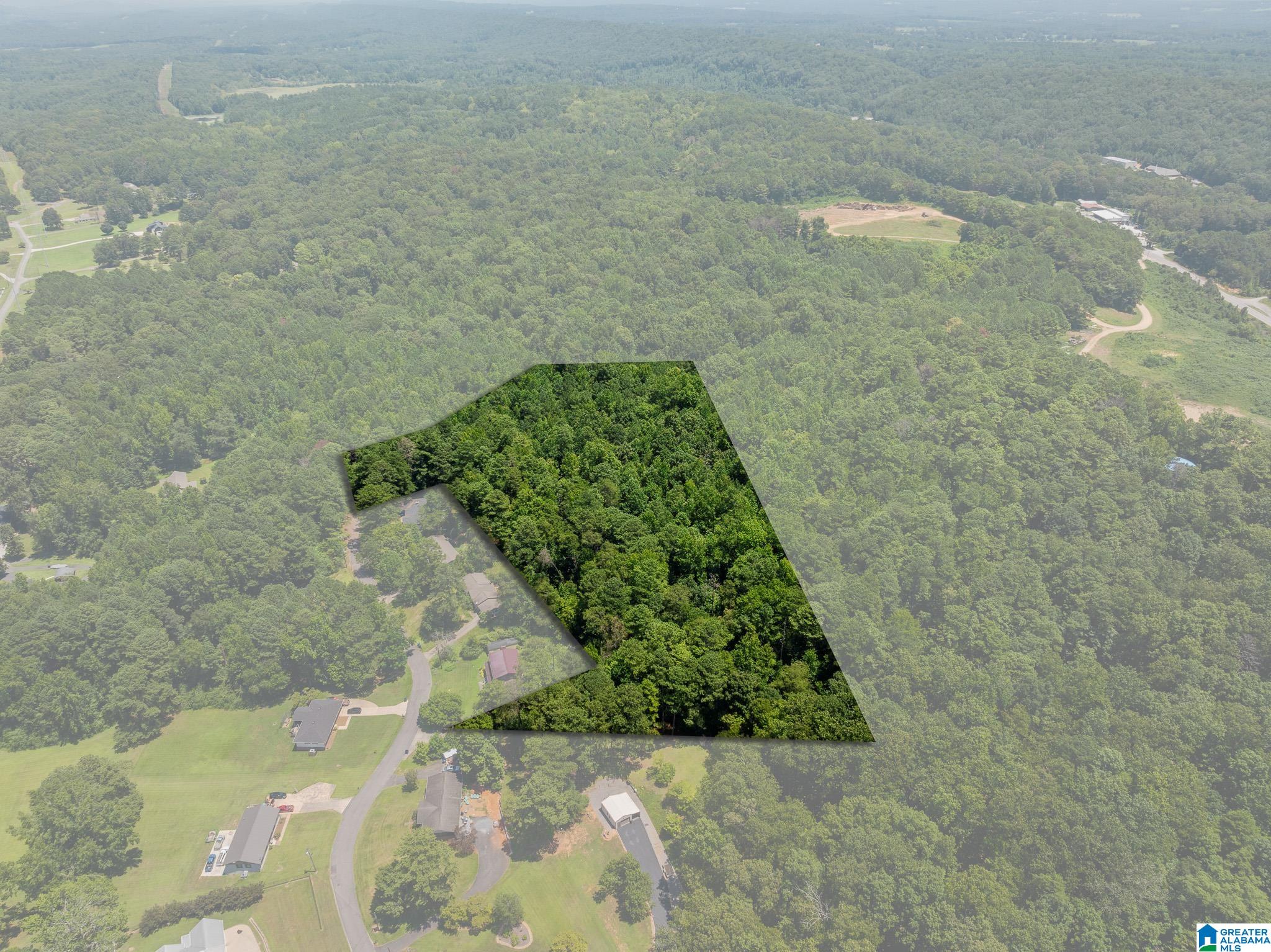 0 Sunshine Avenue Oneonta, AL 35121 - Photo 2 of 21