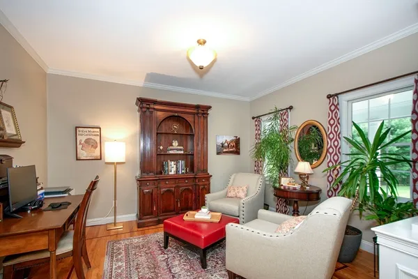a living room with furniture a potted plant and a window