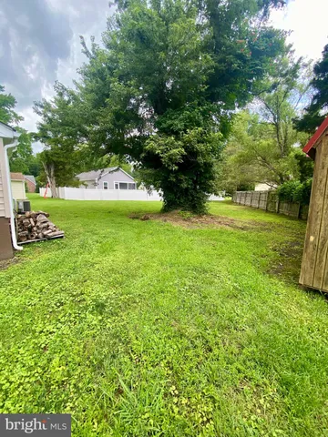 a view of a trees in a yard