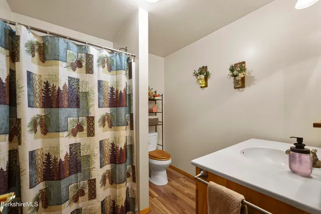 a bathroom with a sink and toilet