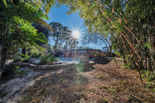 a view of a backyard with large trees