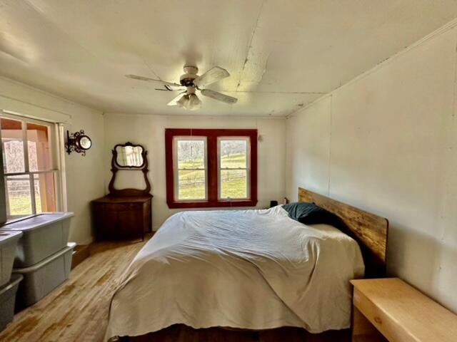 554 Lambs Run Road Arbovale, WV 24915 - Photo 26 of 27 Gallery Image 26
