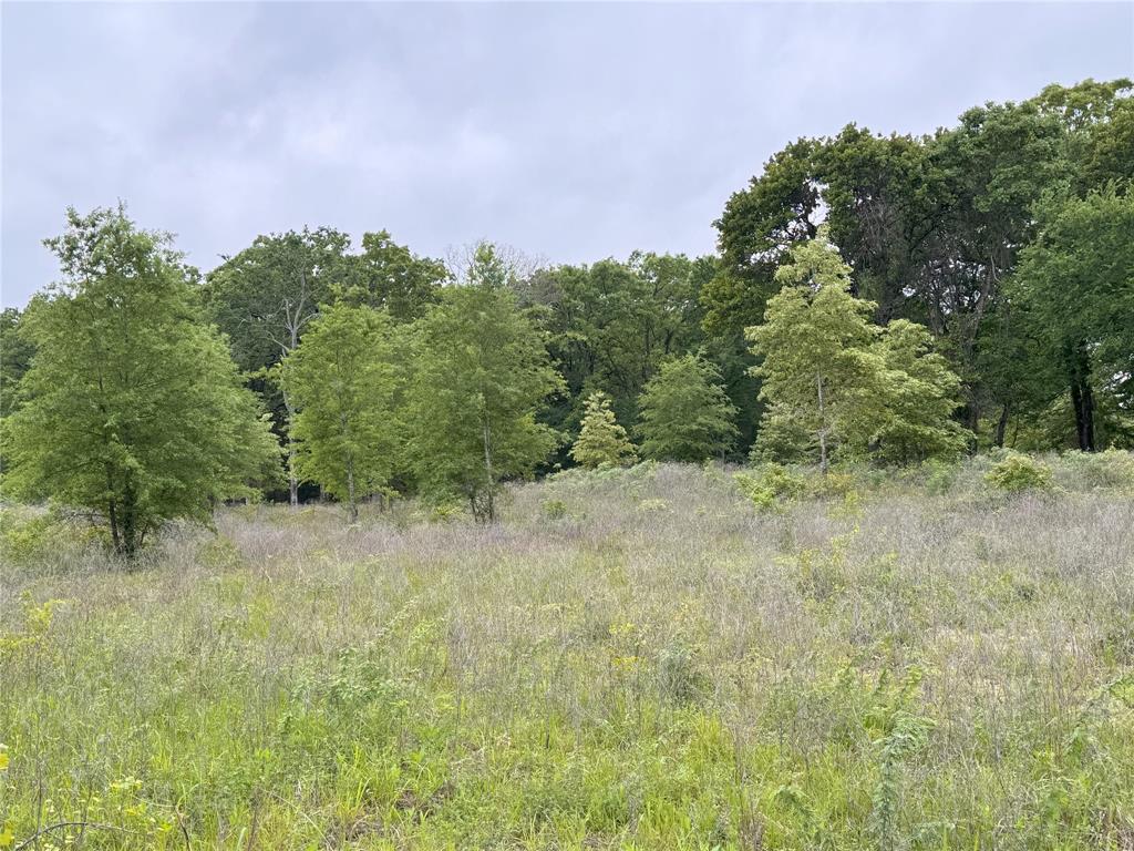 Lot 25 Rains County Road 2610 Alba, TX 75410 - Photo 6 of 14 a view of a field of grass and trees