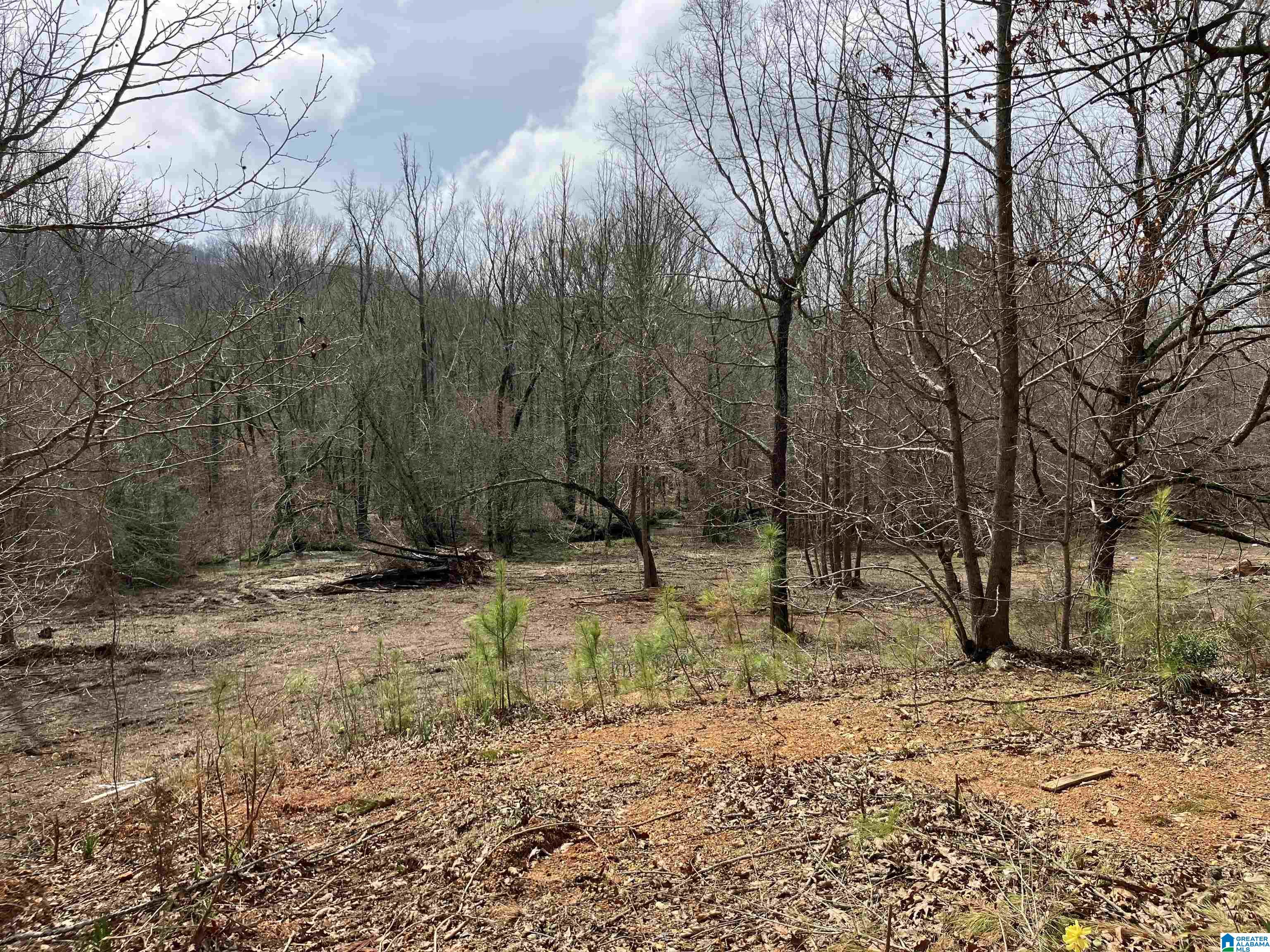4624 Greensport Road Ashville, AL 35953 - Photo 18 of 37