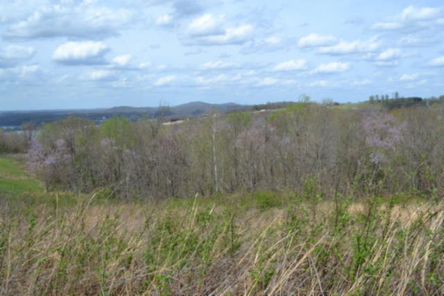 0 Mallard Road Celina, TN 38551 - Photo 11 of 28 a view of a lake from a yard