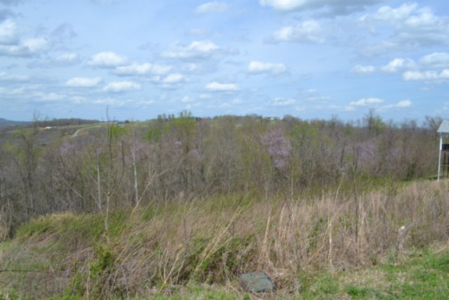 0 Mallard Road Celina, TN 38551 - Photo 12 of 28 a view of a lush green forest with a mountain in the background