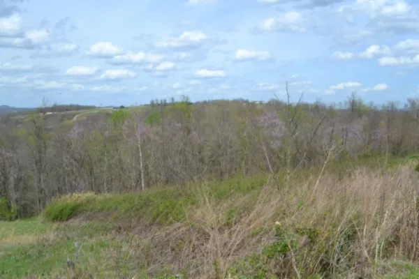 a view of city and building in back