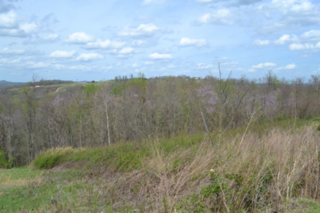 0 Mallard Road Celina, TN 38551 - Photo 13 of 28 a view of mountain with lake view