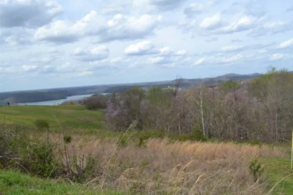 a view of a lake with a mountain in the background