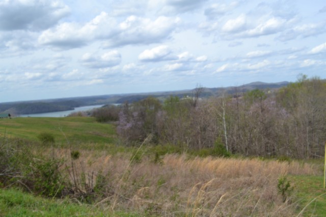 0 Mallard Road Celina, TN 38551 - Photo 4 of 28 a view of a lake with mountains in the background
