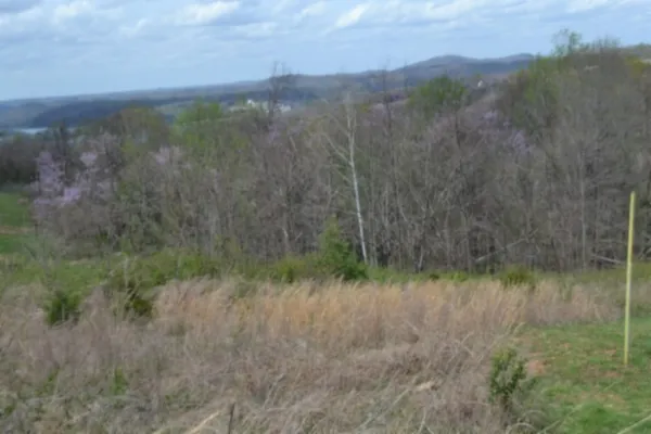 a view of a lake and mountain in the back