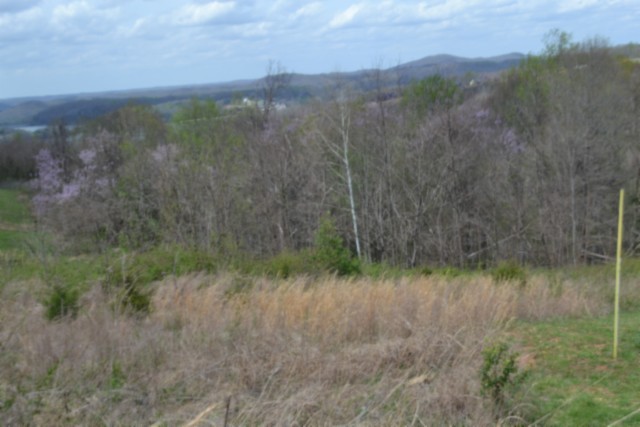 0 Mallard Road Celina, TN 38551 - Photo 7 of 28 a view of a lake with a mountain in the background