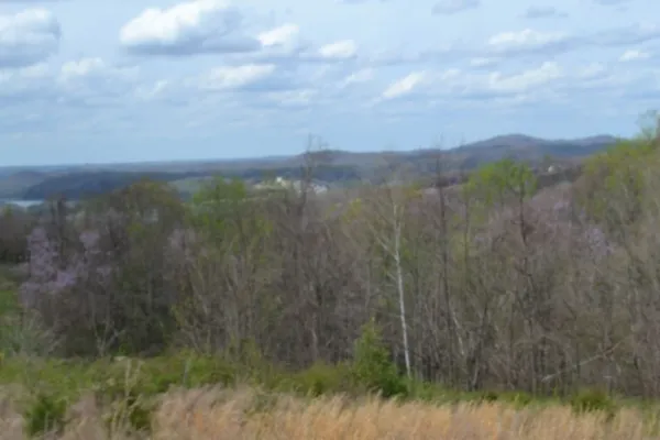 a view of a lake from a yard