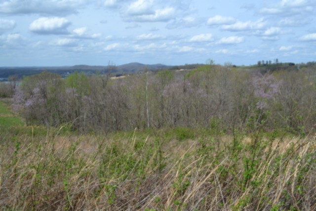 0 Mallard Road Celina, TN 38551 - Photo 10 of 28 a view of a lake and mountain in the back