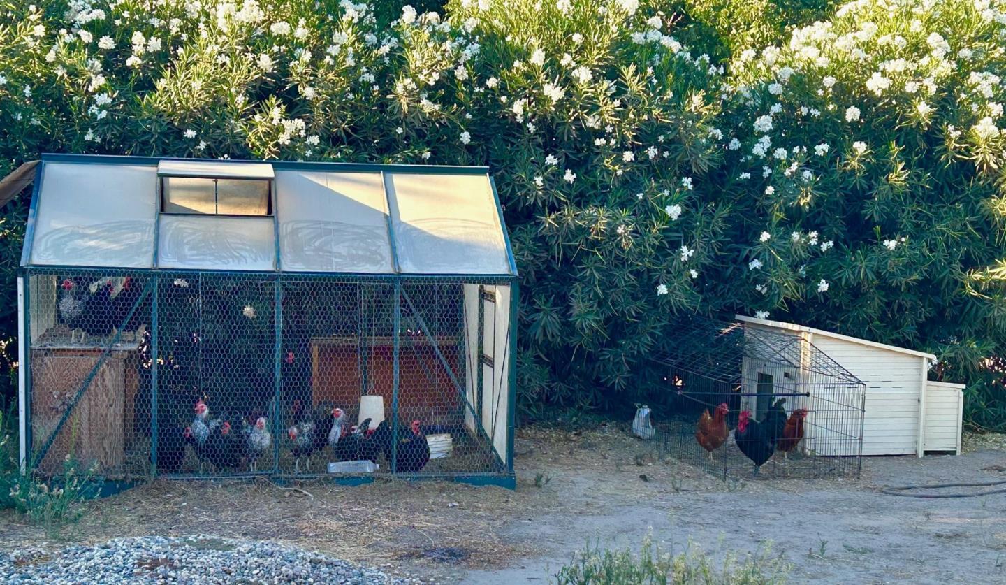 3719 North Hart Road Modesto, CA 95358 - Photo 17 of 47 a view of a small house with yard and garage