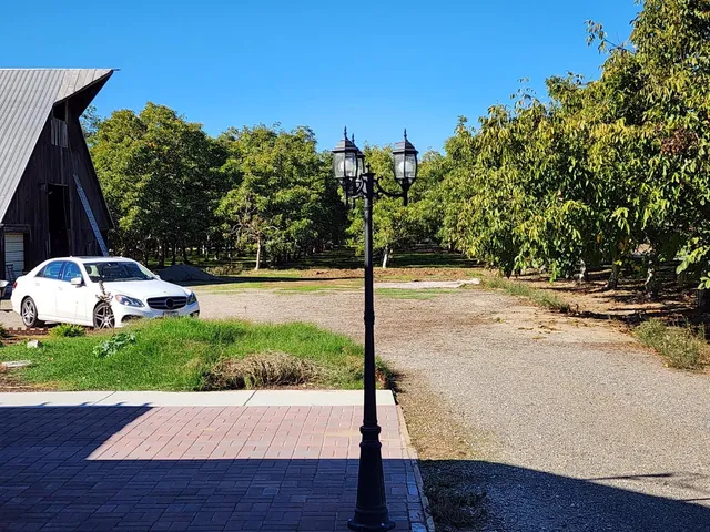 a view of backyard with tree