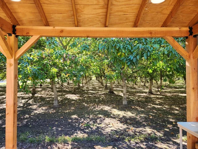 a view of a backyard