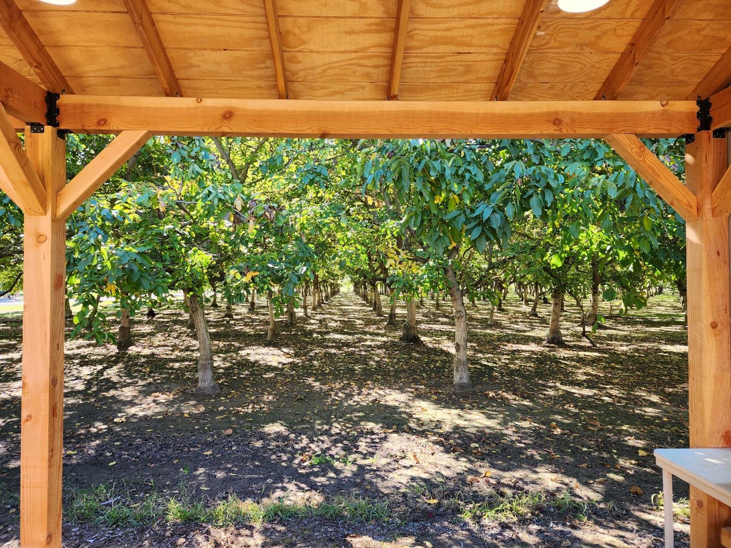 3719 North Hart Road Modesto, CA 95358 - Photo 38 of 47 a view of a backyard