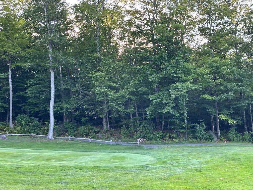 6097 Village On The Green Road Carrabassett Valley, ME 04947 - Photo 3 of 15 IMG_2614