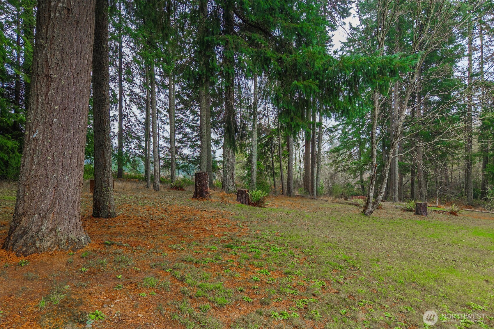 1479 Southeast Ives Mill Road Port Orchard, WA 98367 - Photo 33 of 40