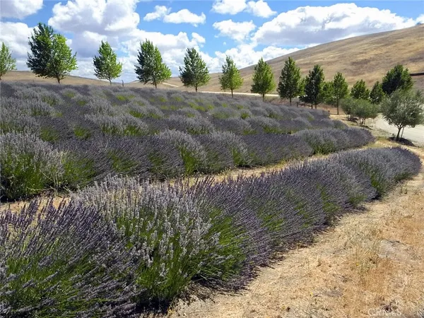 $2,750,000 | 6320 Von Dollen Road, San Miguel, CA 93451