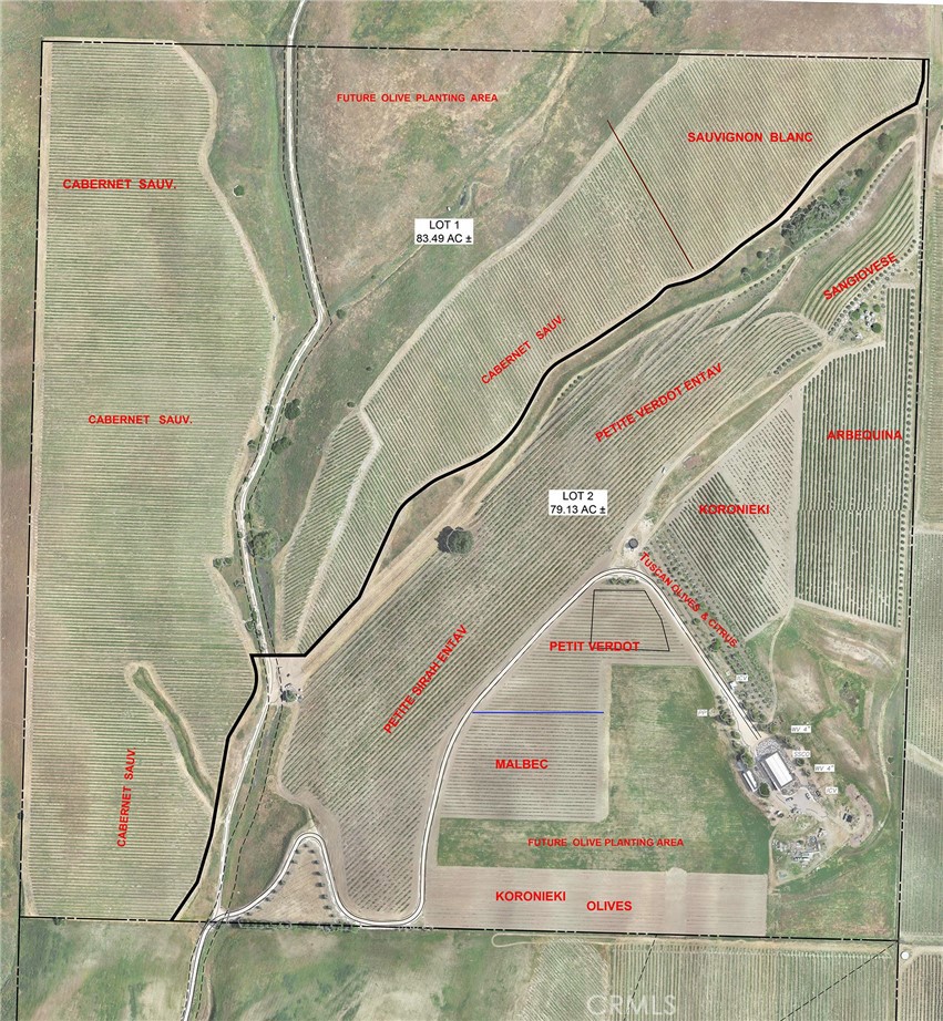 6320 Von Dollen Road San Miguel, CA 93451 - Photo 15 of 32