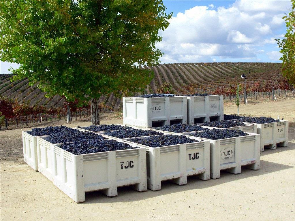 6320 Von Dollen Road San Miguel, CA 93451 - Photo 16 of 32 a kitchen with stainless steel appliances a stove a sink and a white house