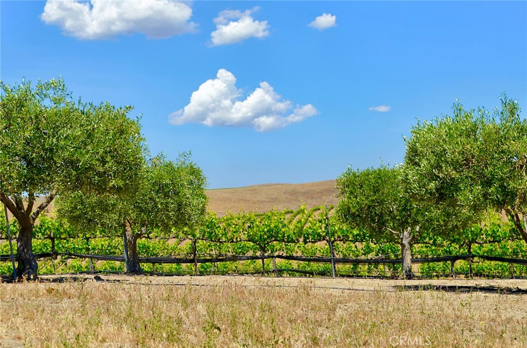 6320 Von Dollen Road San Miguel, CA 93451 - Photo 25 of 32 a view of a golf course with a lake