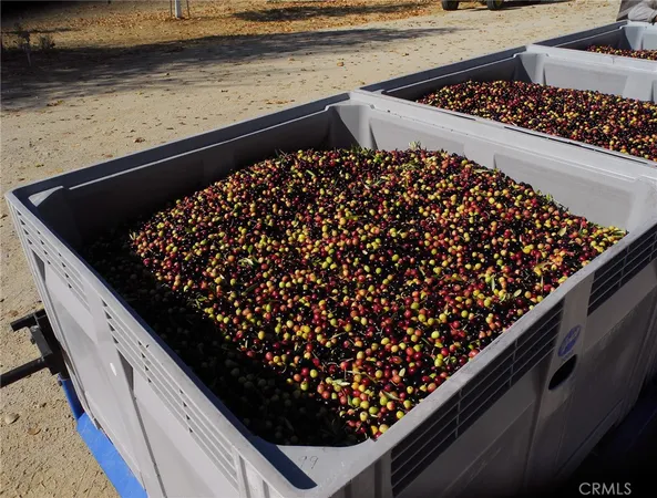 $2,750,000 | 6320 Von Dollen Road, San Miguel, CA 93451