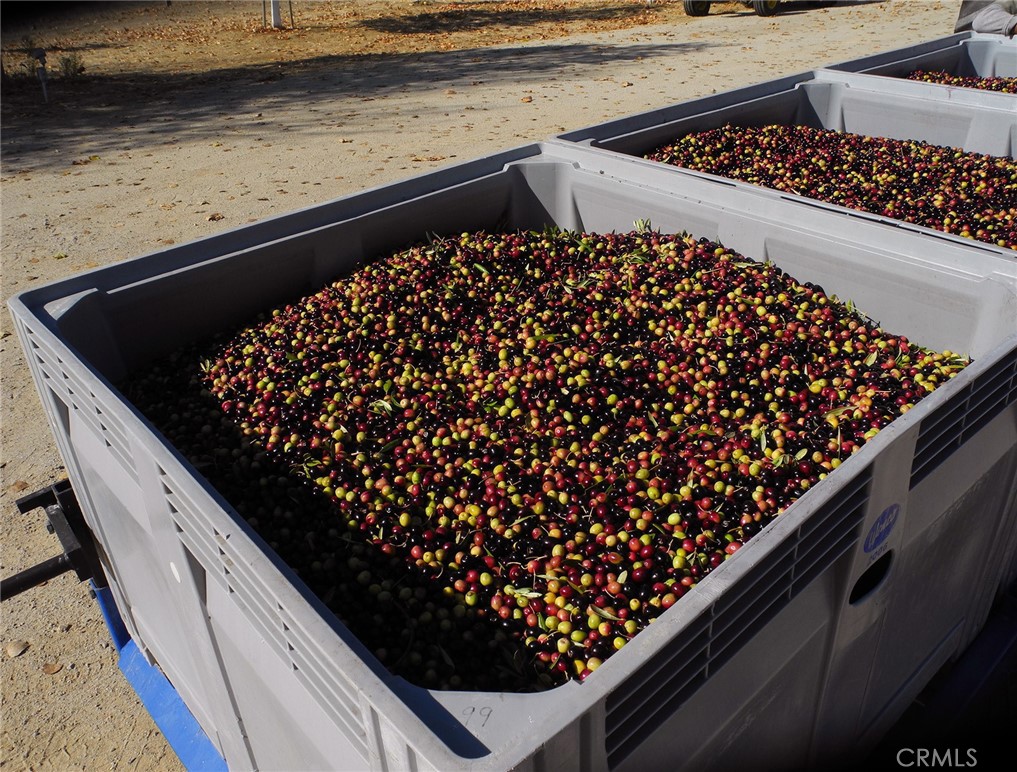 6320 Von Dollen Road San Miguel, CA 93451 - Photo 29 of 32 a close view of a sink in the counter