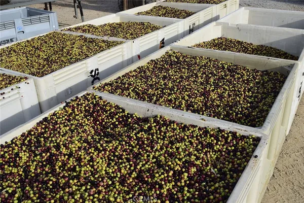 $2,750,000 | 6320 Von Dollen Road, San Miguel, CA 93451