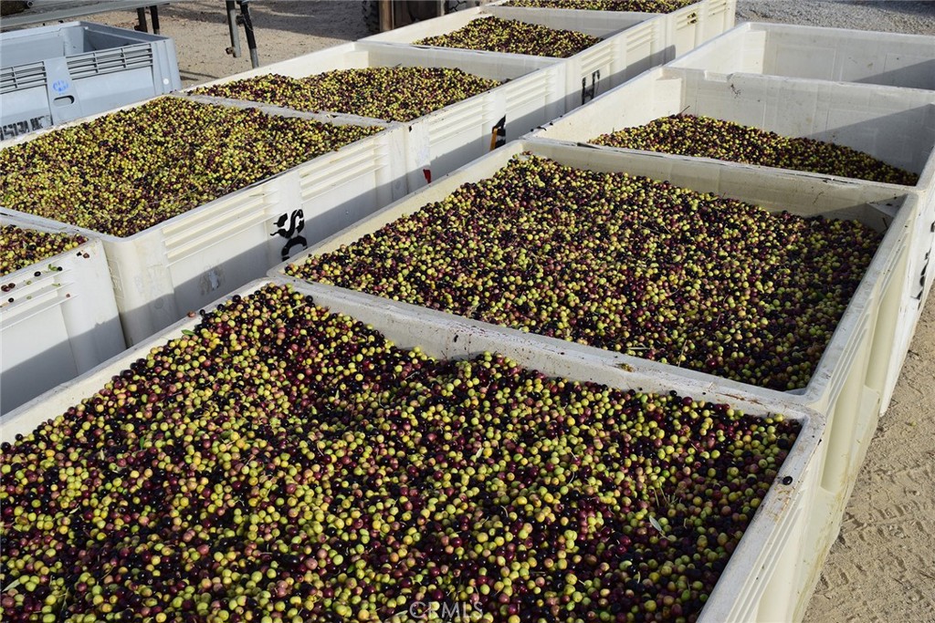6320 Von Dollen Road San Miguel, CA 93451 - Photo 30 of 32 a black white and black white and black white checkered floor