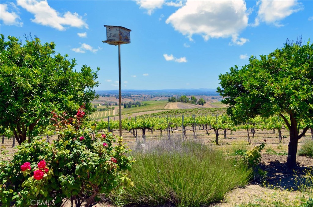 6320 Von Dollen Road San Miguel, CA 93451 - Photo 4 of 32 a view of a lake with a garden