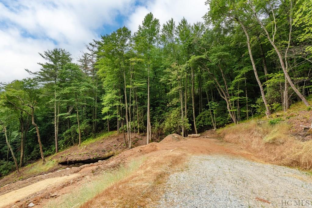 Lot 2 Sapphire Ridge Road Sapphire, NC 28774 - Photo 23 of 42 Gallery Image 23