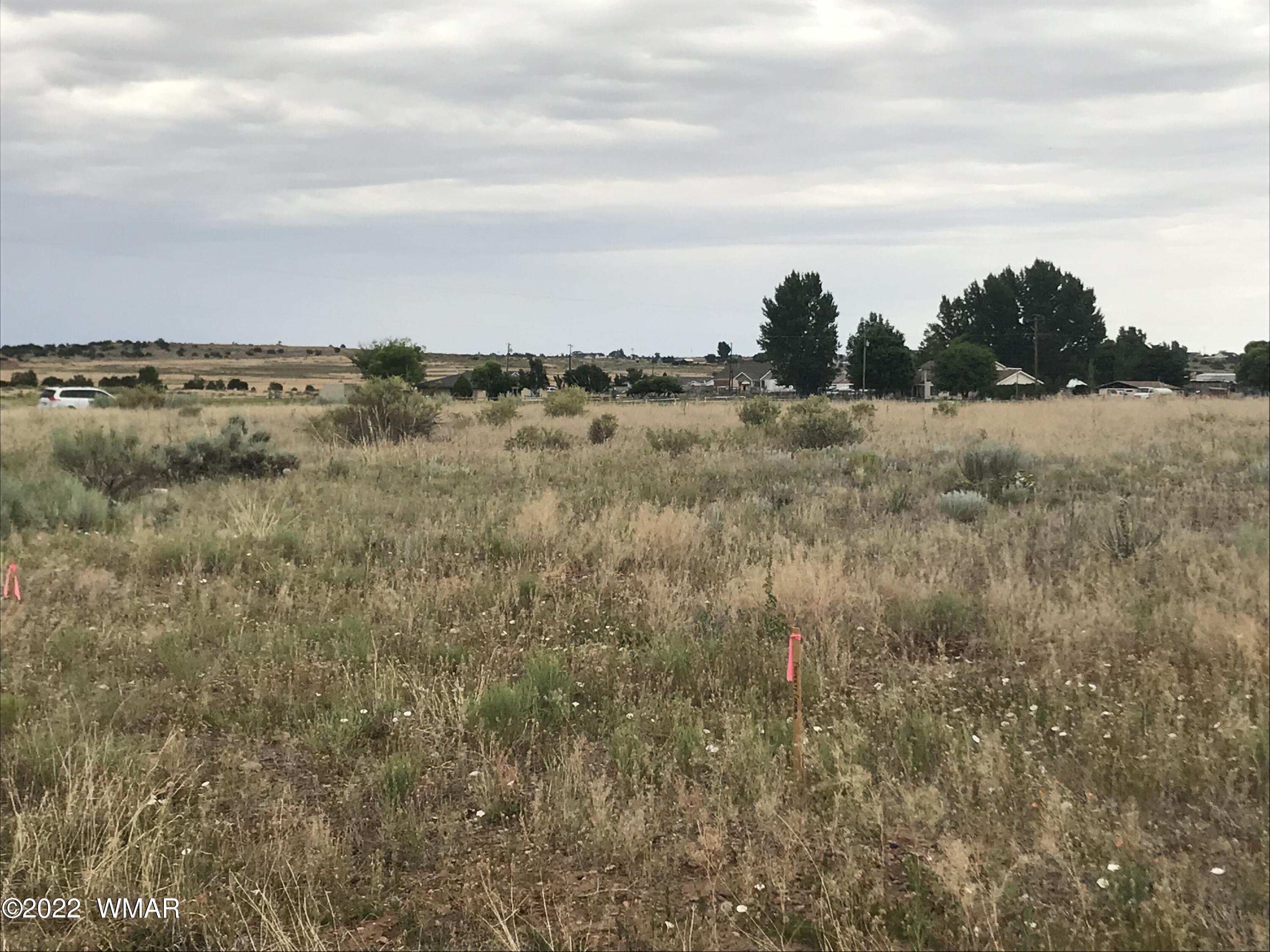 1355 Paper Mill Road Taylor, AZ 85939 - Photo 12 of 13
