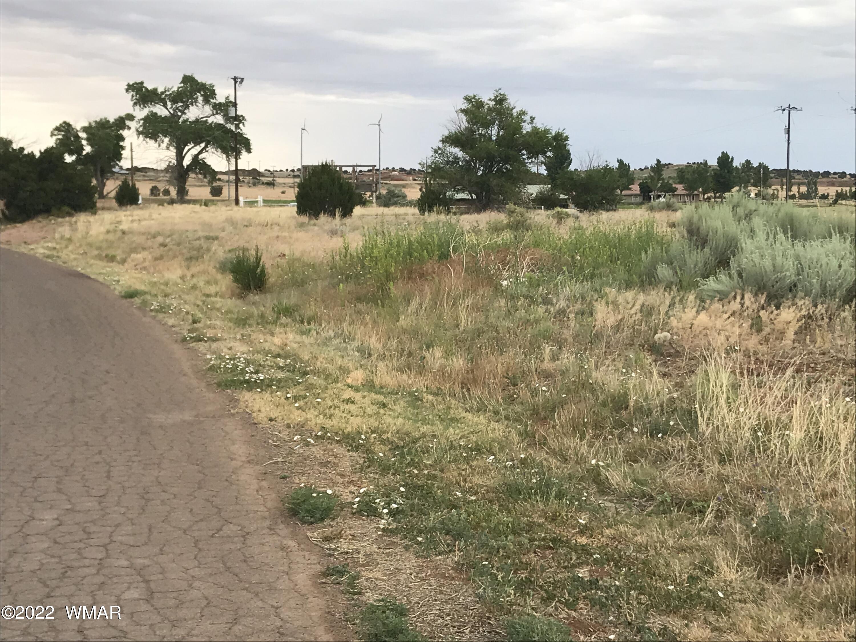 1355 Paper Mill Road Taylor, AZ 85939 - Photo 13 of 13