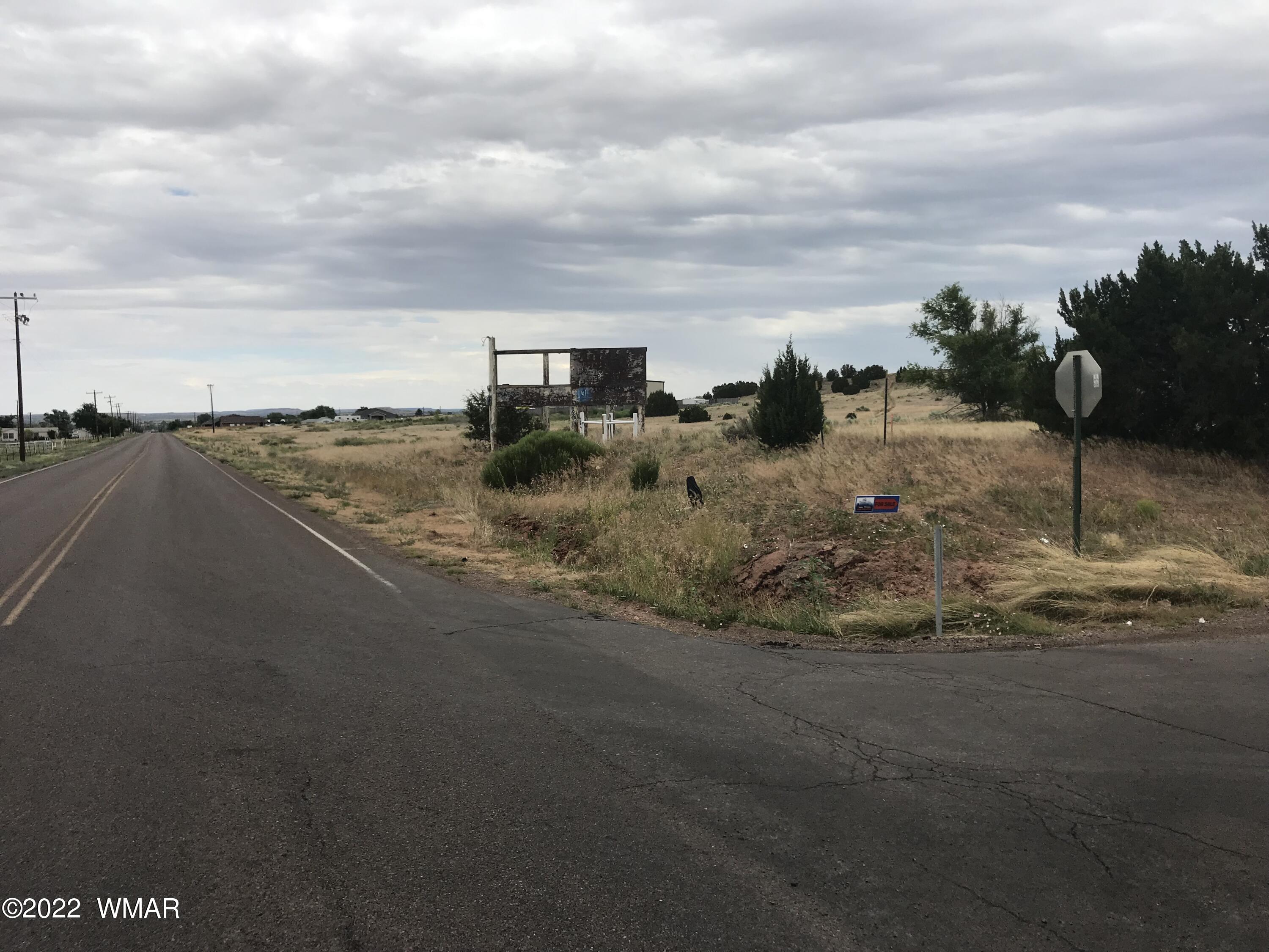1355 Paper Mill Road Taylor, AZ 85939 - Photo 4 of 13